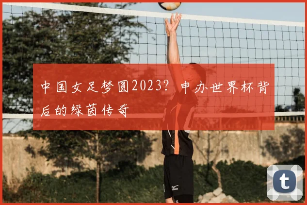 中国女足梦圆2023？申办世界杯背后的绿茵传奇