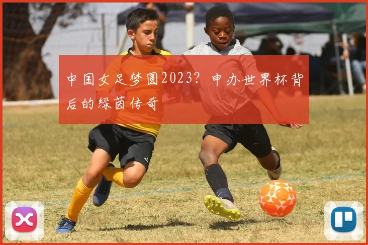 中国女足梦圆2023？申办世界杯背后的绿茵传奇