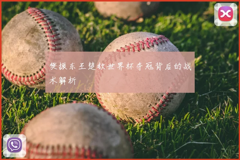 樊振东王楚钦世界杯夺冠背后的战术解析