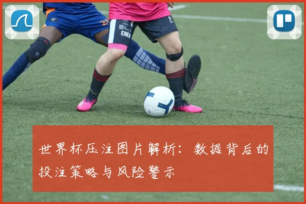 世界杯压注图片解析:数据背后的投注策略与风险警示