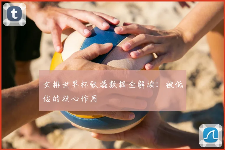 女排世界杯张磊数据全解读：被低估的核心作用