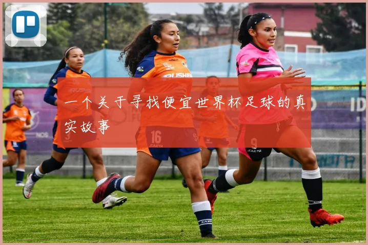 一个关于寻找便宜世界杯足球的真实故事