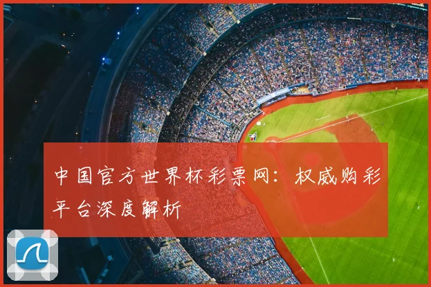 中国官方世界杯彩票网：权威购彩平台深度解析