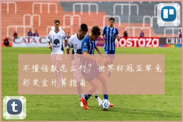 不懂倍数怎么行?世界杯冠亚军竞彩奖金计算指南