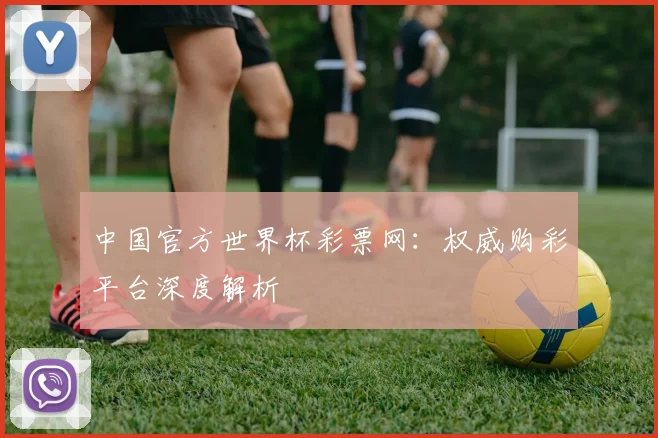 中国官方世界杯彩票网：权威购彩平台深度解析