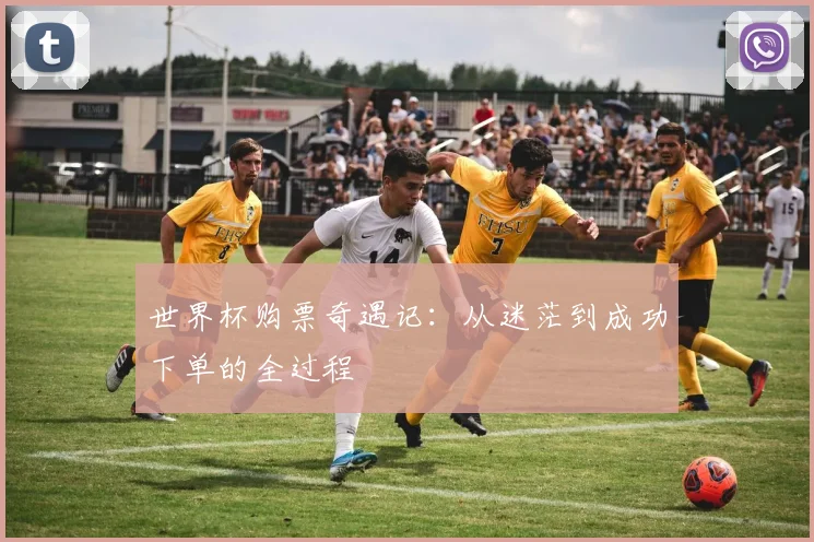 世界杯购票奇遇记:从迷茫到成功下单的全过程