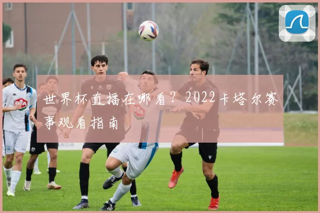世界杯直播在哪看？2022卡塔尔赛事观看指南