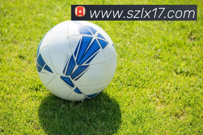 开云手机在线官网登录APP 体育赛事宣传图